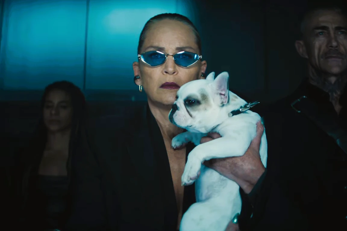 Full Cast And Character List For Nobody 2 1 Sharon Stone in Nobody 2 - Universal Pictures