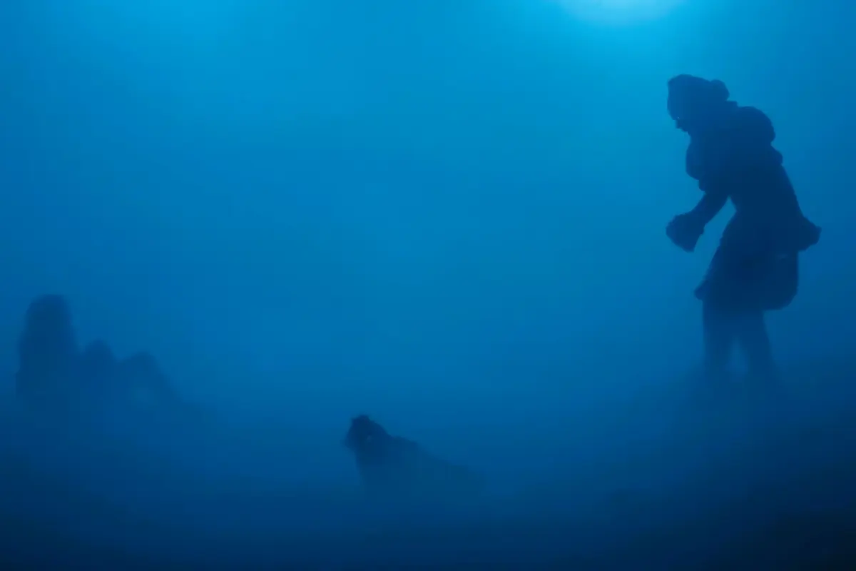 Is HBO Building a Stephen King Universe with It: Welcome to Derry? 4 IT_ Welcome to Derry - Rotten Tomatoes TV